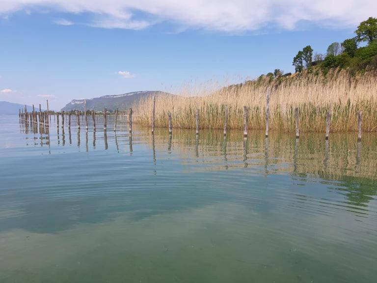 Le Lamartine, Vue Magnifique Face Au Lac Du Bourget Aix-les-Bains Exteriér fotografie